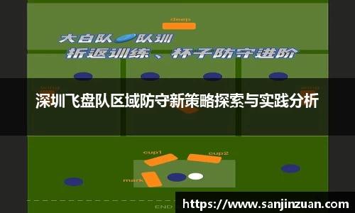 深圳飞盘队区域防守新策略探索与实践分析